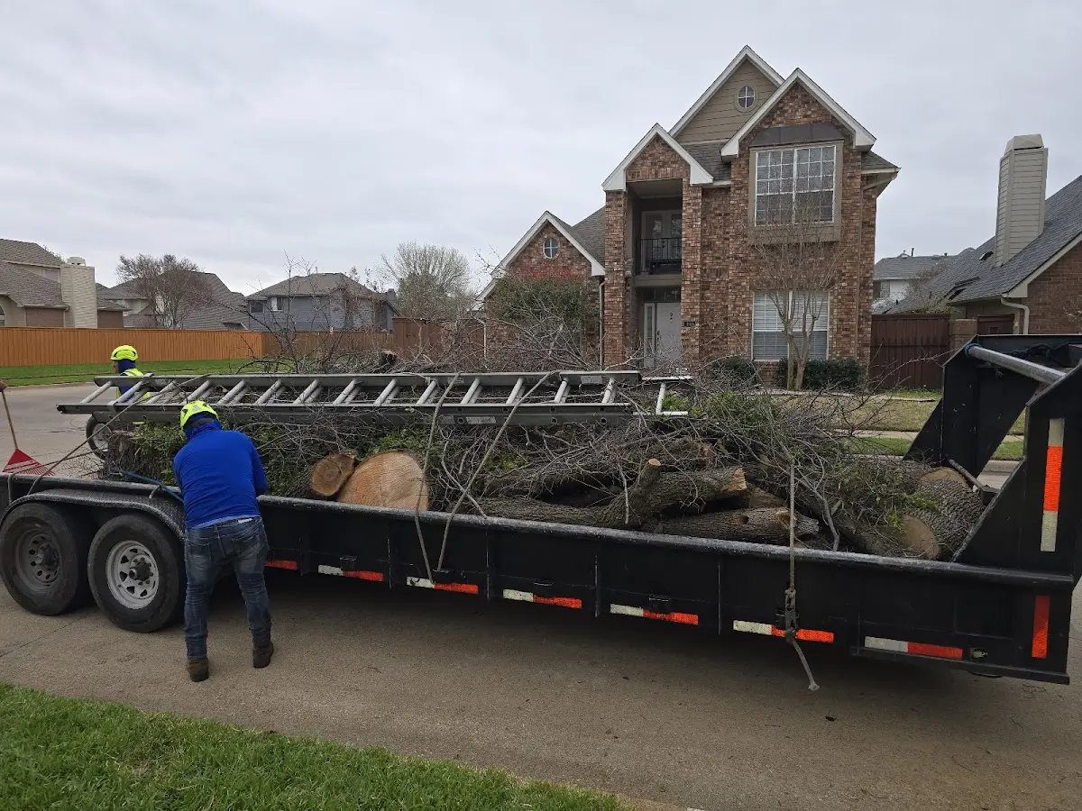 Expert Tree Fertilization with proper safety equipment in Shelburne Falls